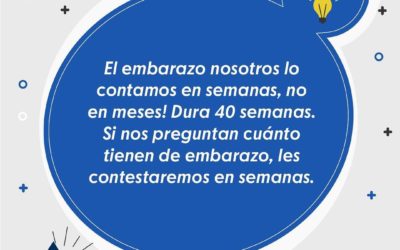 FAQ 4 ¿Cómo se cuenta el embarazo?