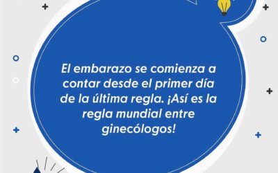 FAQ 3 ¿Desde cuando se empieza a contar el embarazo?