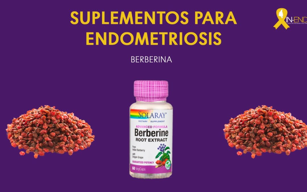 Suplementos para Endometriosis : BERBERINA