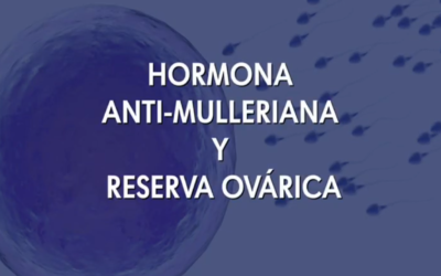 Hormona anti-mulleriana y reserva ovárica