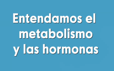 Entendamos el metabolismo y las hormonas