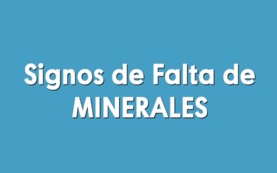 Signos de falta de minerales